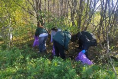 Sprzątamy dla Polski