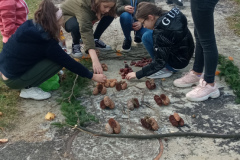 Obrazek przedstawiający książkowy Plac Broni, wykonany w ramach zadania "Sztuka ziemi" - projekt edukacyjny "Zabawa sztuką"