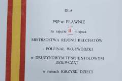 Dyplom dla dziewcząt za zajęcia II miejsca