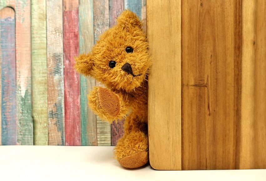 teddy 3405768 960 720
