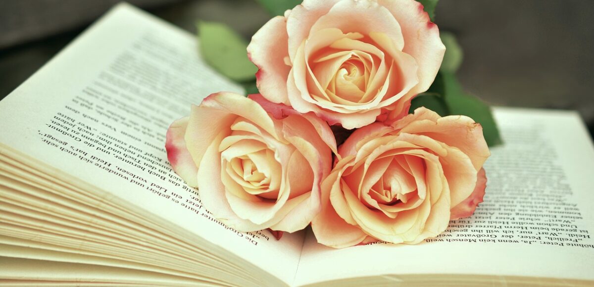 a book g48319202d 1280