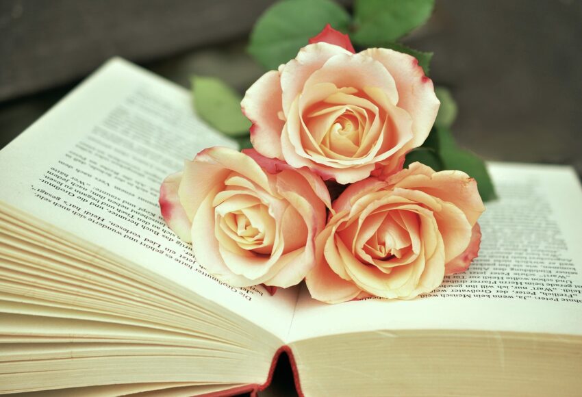 a book g48319202d 1280