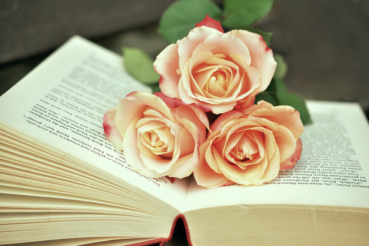 a book g48319202d 1280