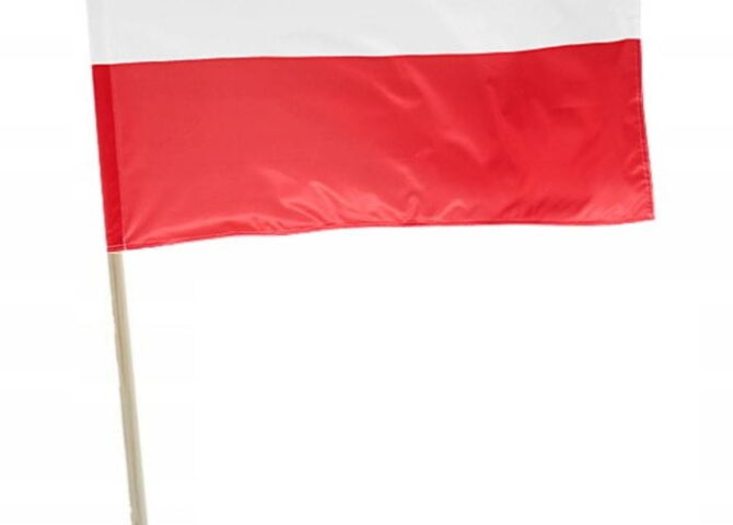 flaga polska drzewiec